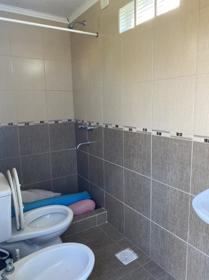 MEJICO 2018. SAUCE VIEJO