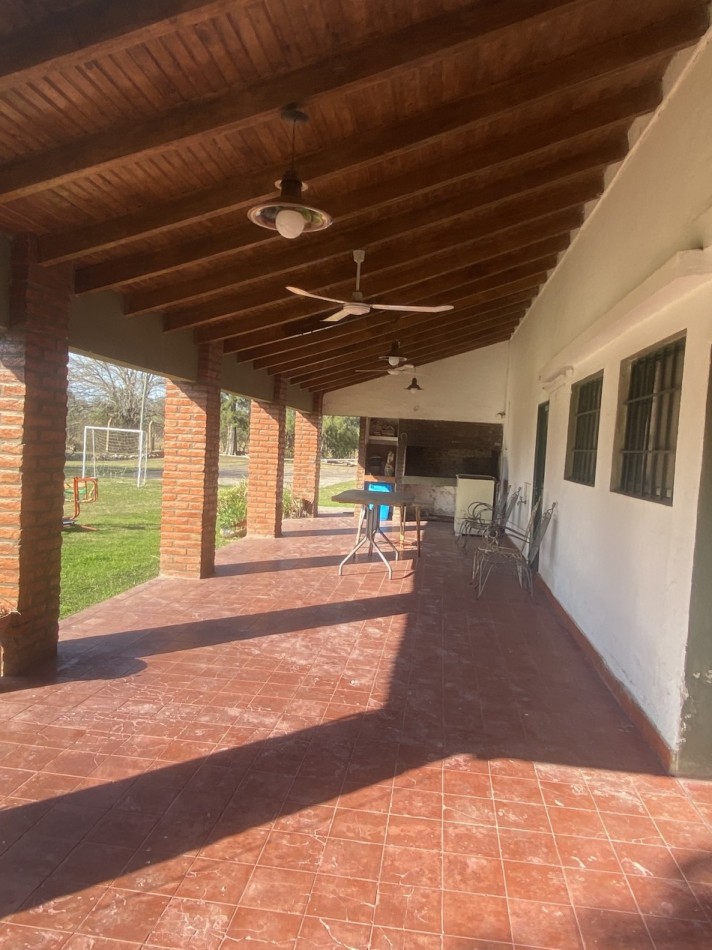 MEJICO 2018. SAUCE VIEJO