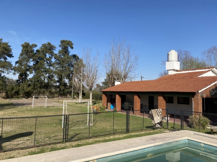 MEJICO 2018. SAUCE VIEJO