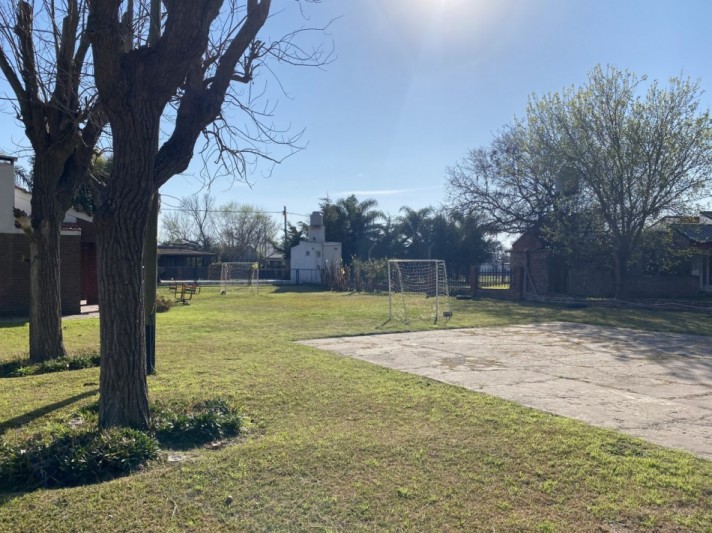 MEJICO 2018. SAUCE VIEJO