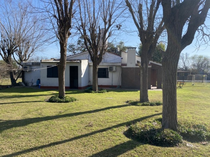 MEJICO 2018. SAUCE VIEJO